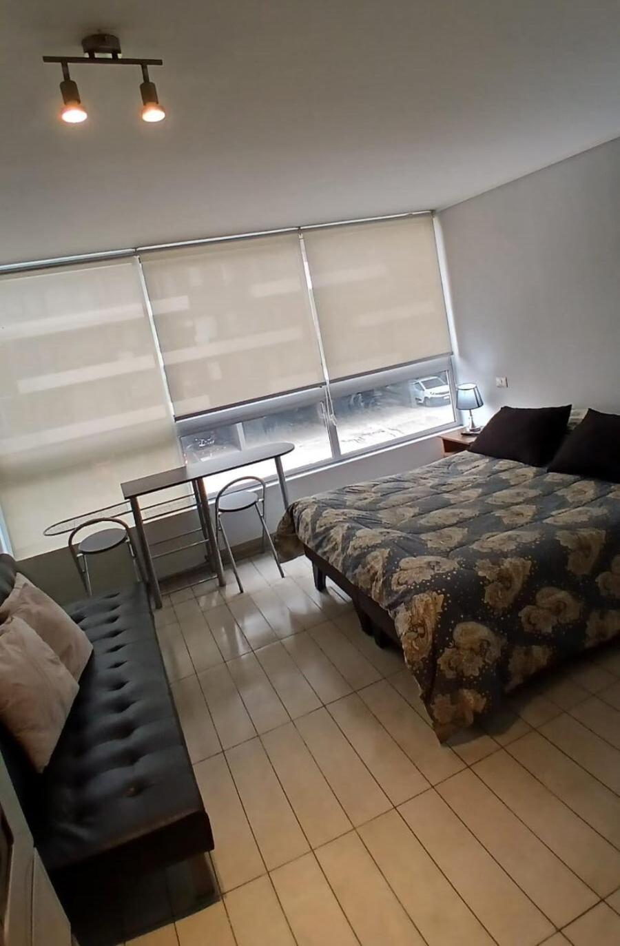 Apartment Depto Estudio En Barrio Italia - 311 Seminario Santiago